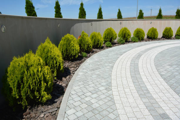 Best Residential Driveway Paver Services  in Chesaning, MI